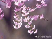 东莞市恒源教育科技有限公司