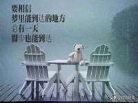 东莞市恒源教育科技有限公司