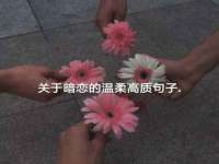 东莞市恒源教育科技有限公司