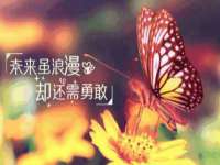 东莞市恒源教育科技有限公司