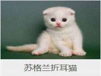 东莞市恒源教育科技有限公司