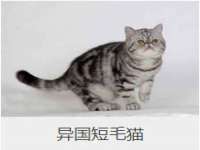 东莞市恒源教育科技有限公司