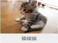 东莞市恒源教育科技有限公司