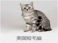 东莞市恒源教育科技有限公司