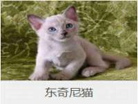 东莞市恒源教育科技有限公司