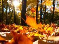 东莞市恒源教育科技有限公司