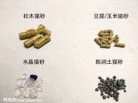 东莞市恒源教育科技有限公司