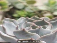 东莞市恒源教育科技有限公司