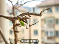 东莞市恒源教育科技有限公司