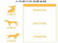 东莞市恒源教育科技有限公司