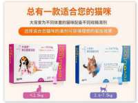 东莞市恒源教育科技有限公司