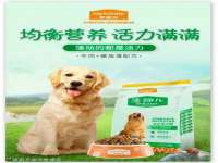 东莞市恒源教育科技有限公司