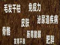 东莞市恒源教育科技有限公司