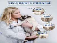 东莞市恒源教育科技有限公司