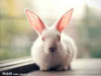 东莞市恒源教育科技有限公司