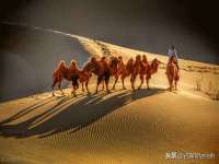 东莞市恒源教育科技有限公司
