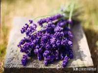 东莞市恒源教育科技有限公司