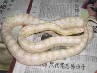 东莞市恒源教育科技有限公司