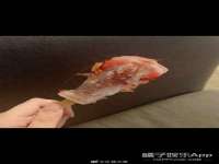 东莞市恒源教育科技有限公司